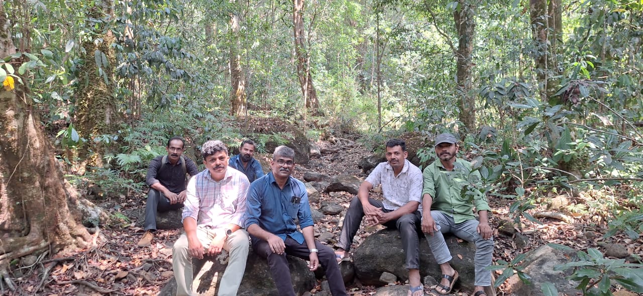 Traditional ecological wisdom and cardamom cultivation heritage in Wayanad